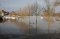 Hochwasser Seligenstadt 18.01.2011 007